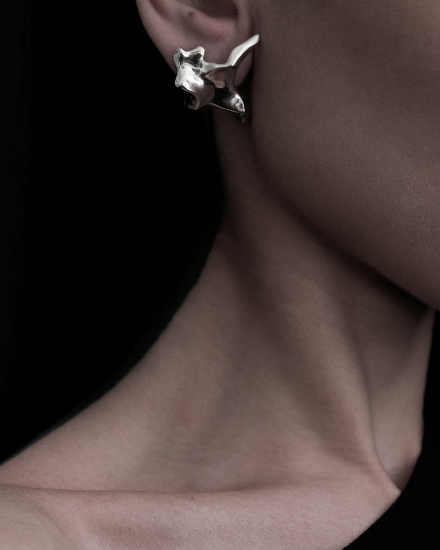 Oxyura Earrings