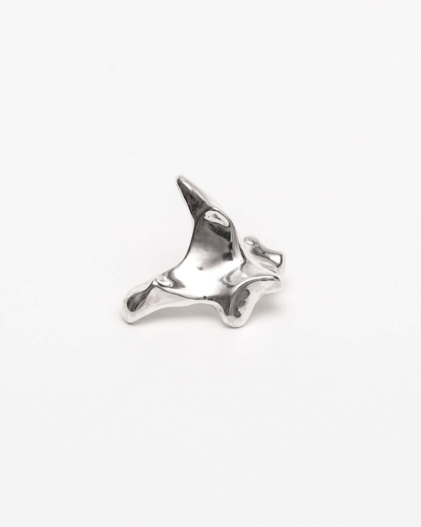 Oxyura Earrings