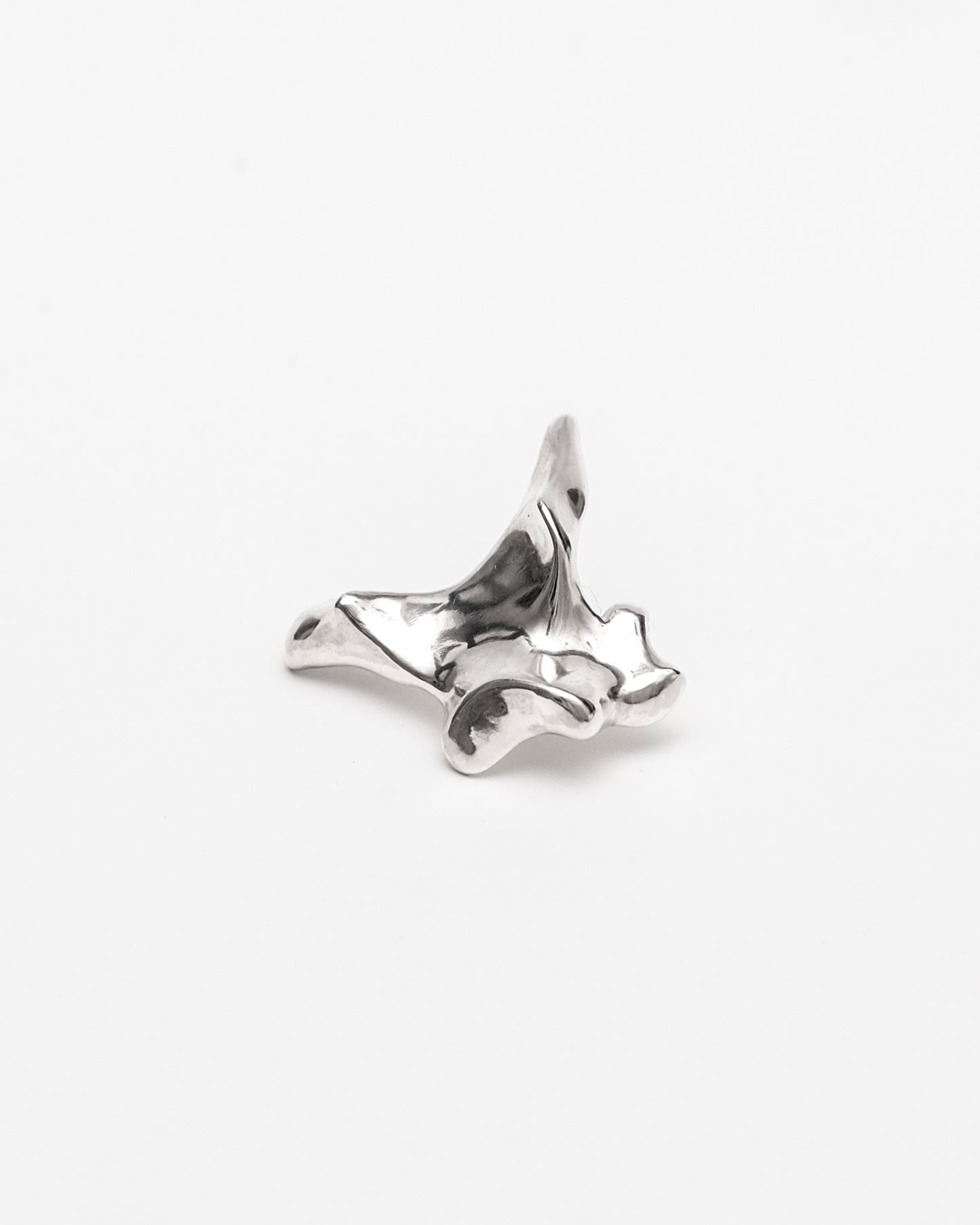Oxyura Earrings