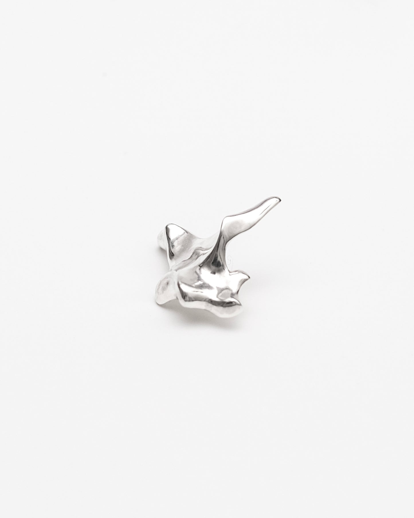 Oxyura Earrings