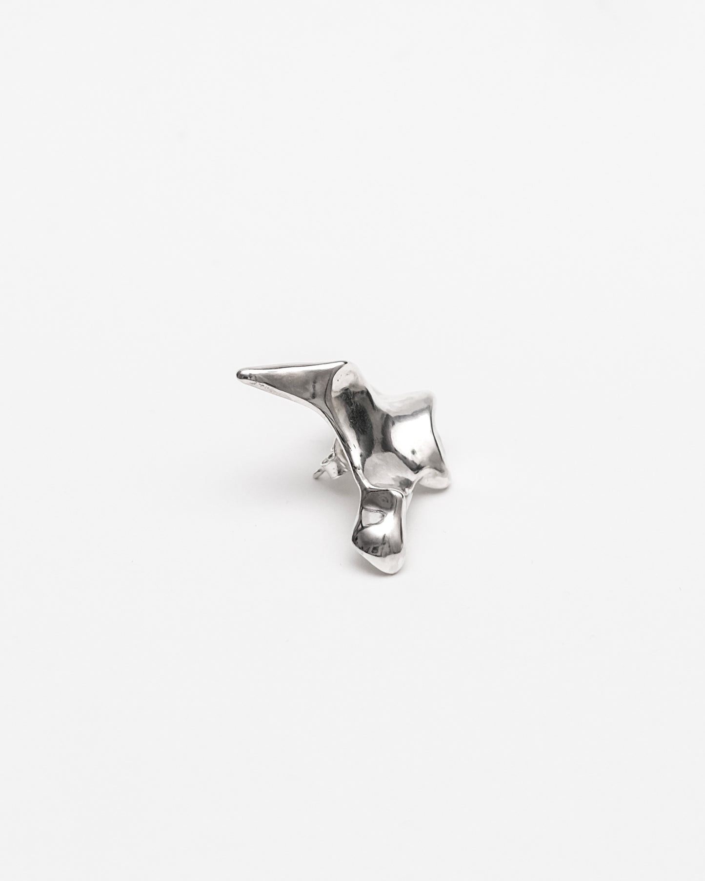 Oxyura Earrings